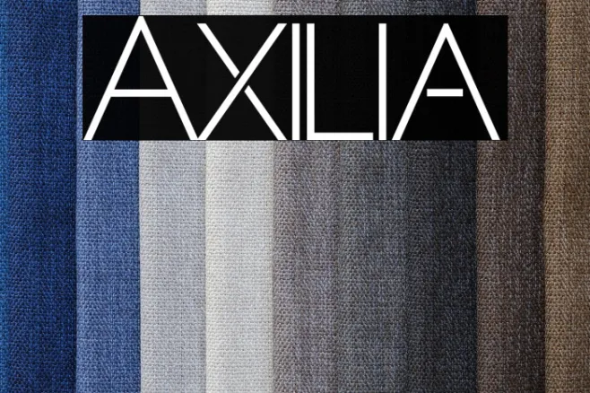 Axilia Example 3