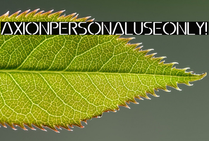 Axion PERSONAL USE ONLY! Example 2