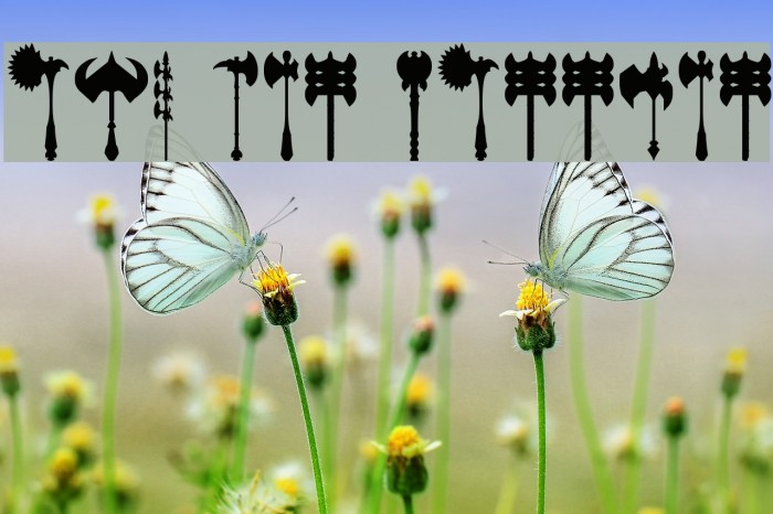 axe for warrior Example 3