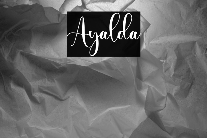 Ayalda Example 1