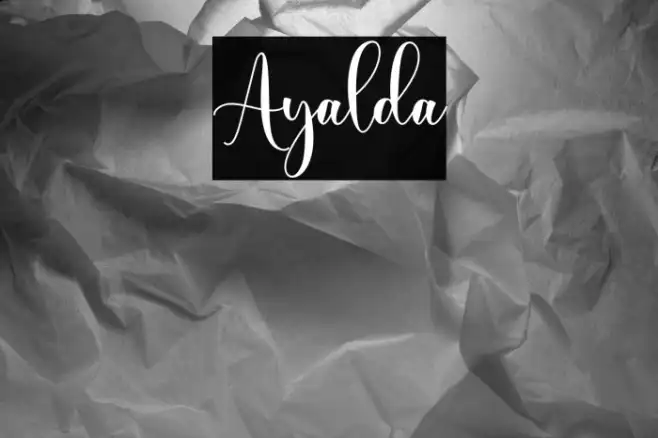 Ayalda Example 1