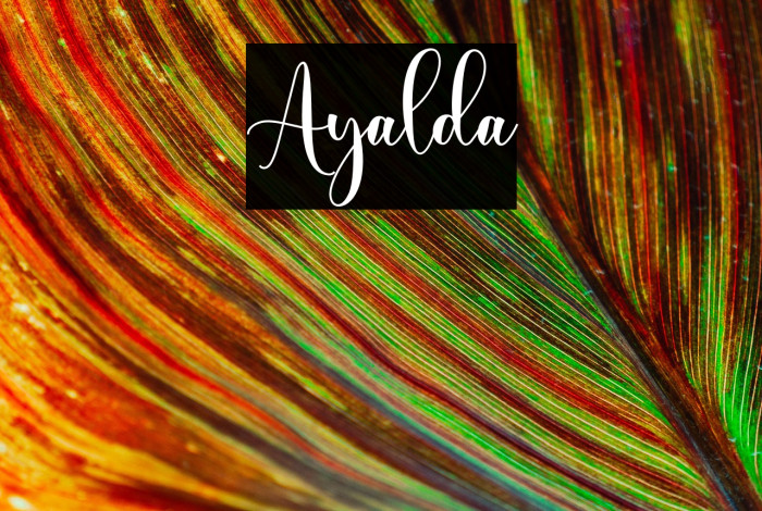 Ayalda Example 2