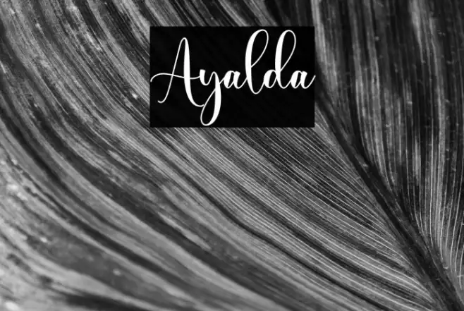 Ayalda Example 2