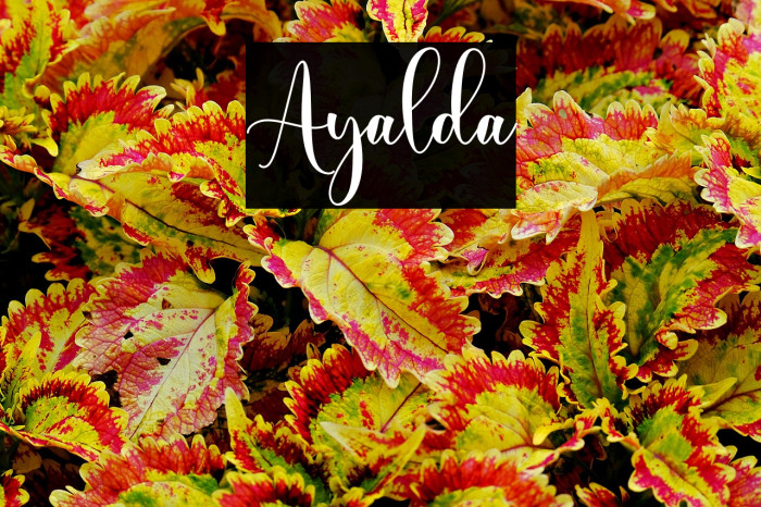 Ayalda Example 3