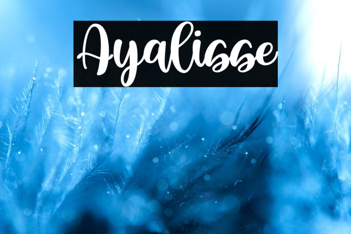 Ayalisse Example 3