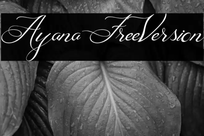 Ayana FreeVersion Font examples
