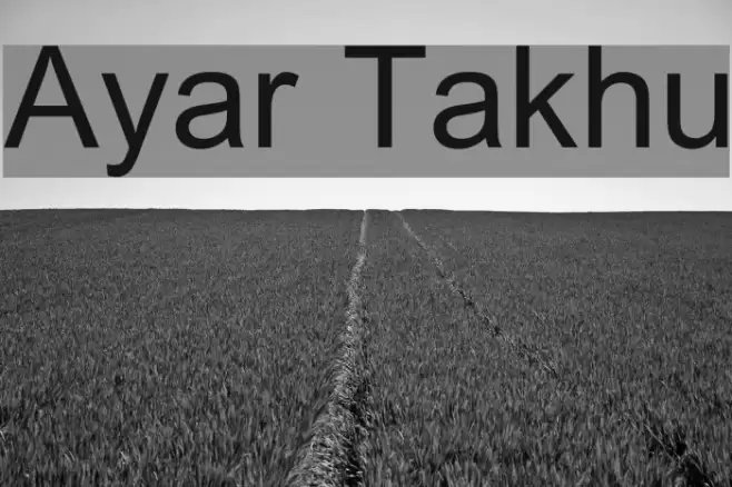 Ayar Takhu フォント examples