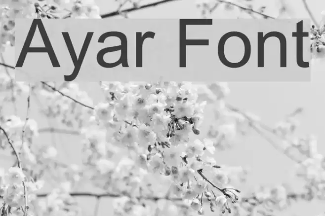 Ayar Font examples