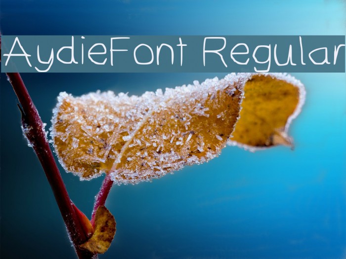 AydieFont Regular Font examples