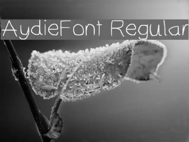 AydieFont Regular Example 2