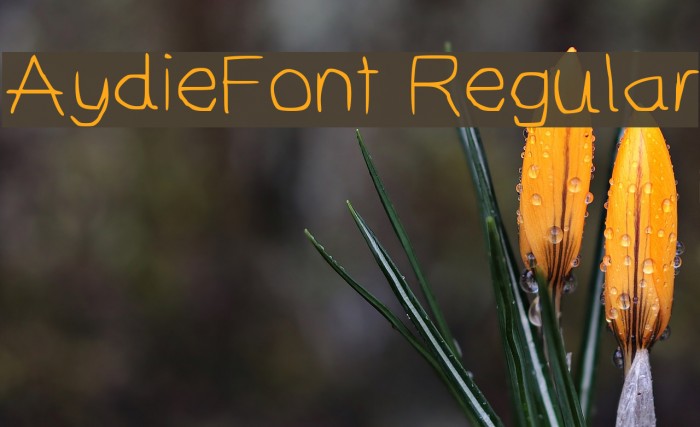 AydieFont Regular Font examples