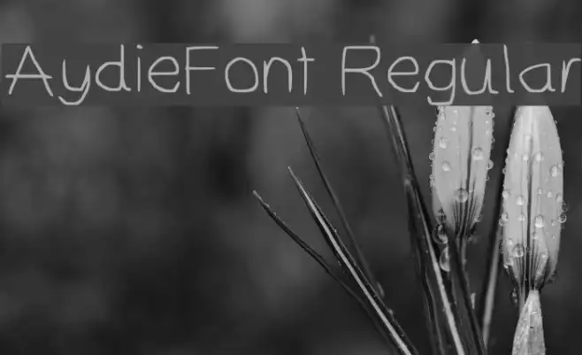 AydieFont Regular Example 3