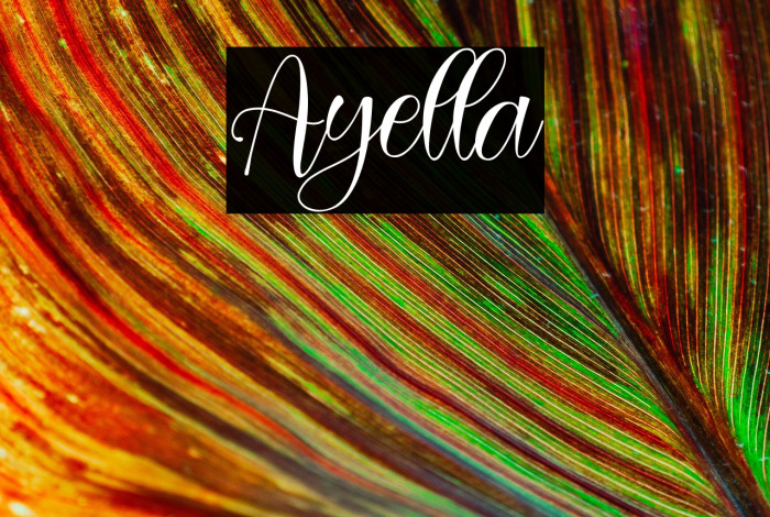 Ayella Example 3