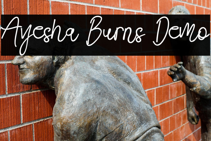 Ayesha Burns Demo Example 3