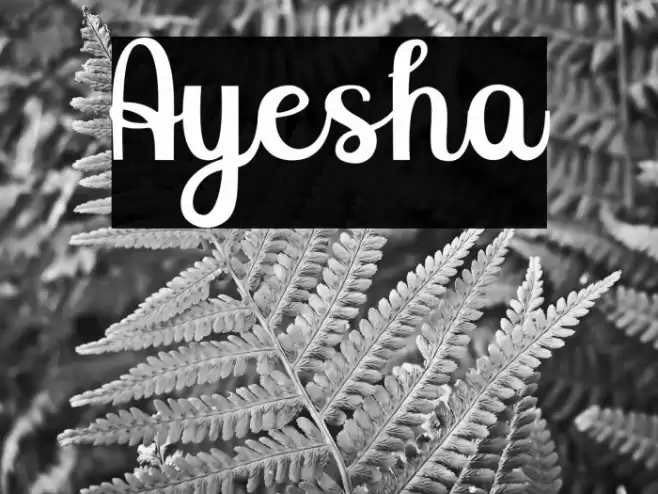 Ayesha Font examples