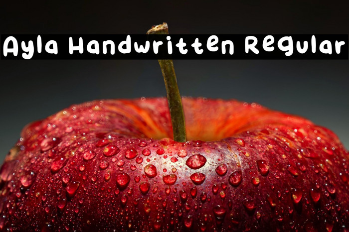 Ayla Handwritten Regular Example 1