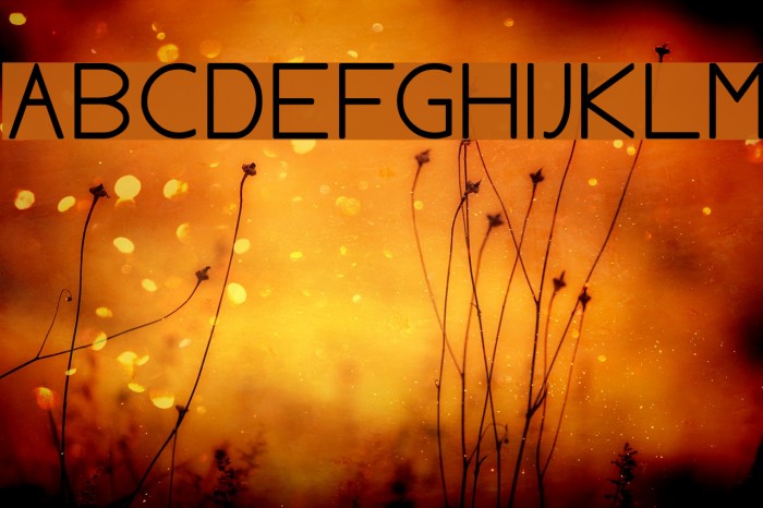 AylaCSscript Font examples
