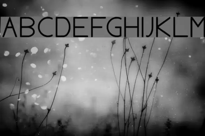 AylaCSscript خط examples