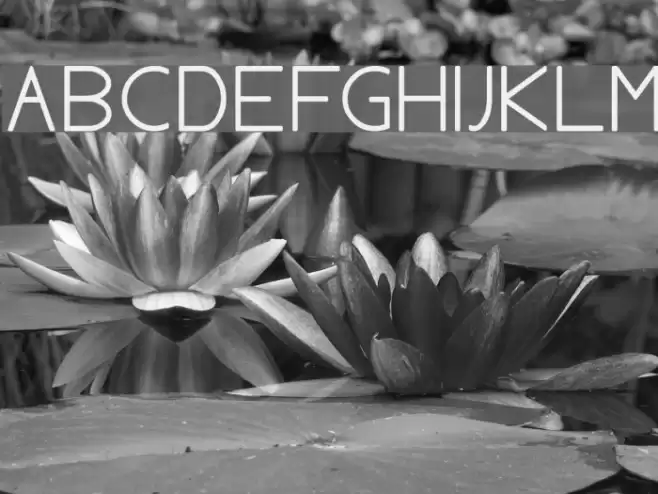 AylaCSscript خط examples