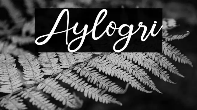 Aylogri Example 1