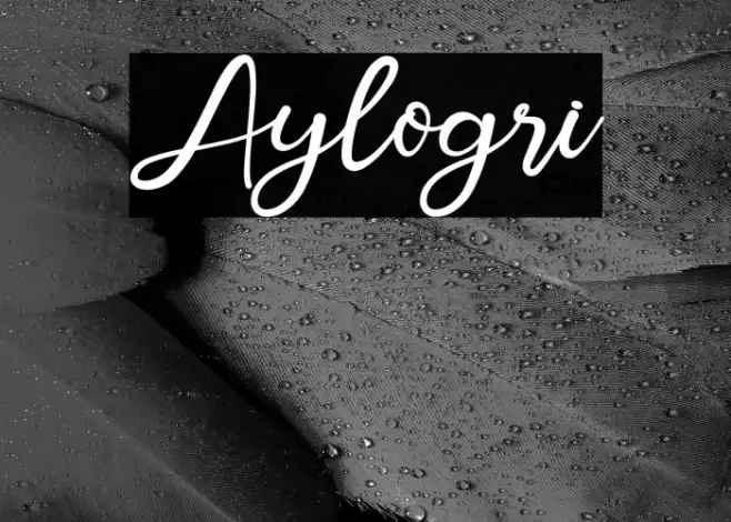 Aylogri Example 2