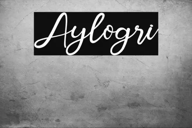 Aylogri Example 3