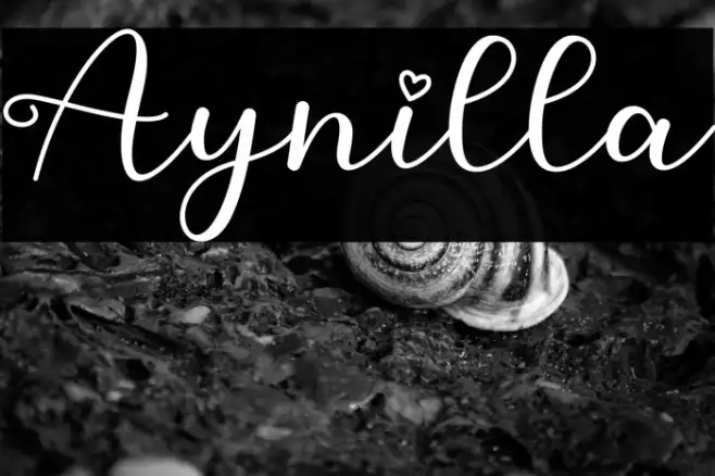 Aynilla Example 1