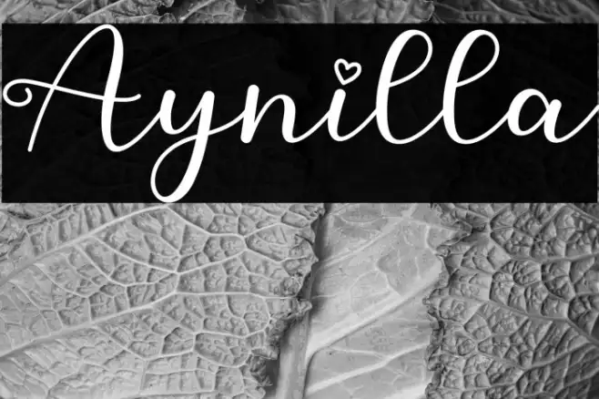 Aynilla Example 2