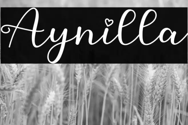 Aynilla Example 3
