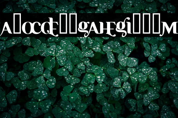 Ayosmonika Bold Example 1