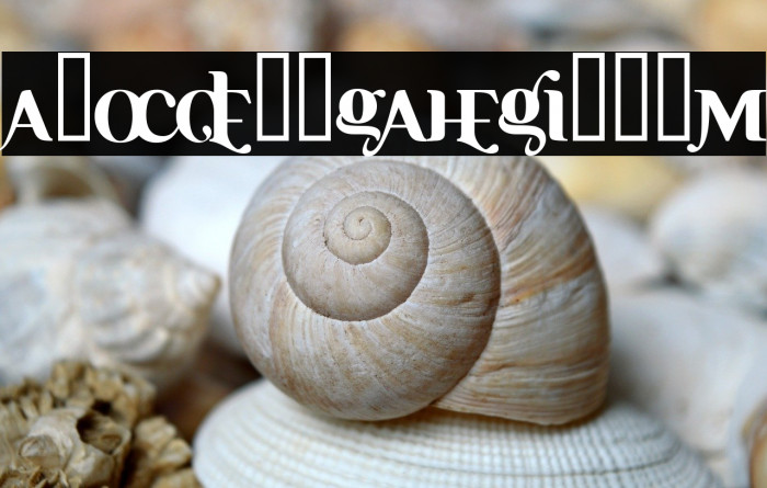 Ayosmonika Bold Example 2