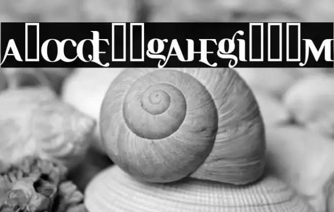 Ayosmonika Bold Font examples