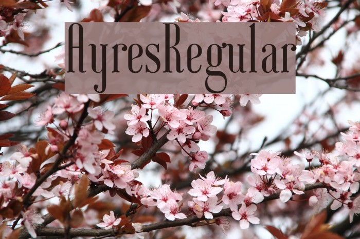 AyresRegular Example 3