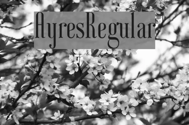AyresRegular Font examples