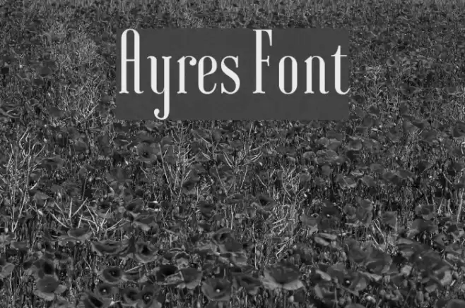 Ayres Font examples