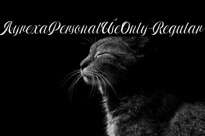 AyrexaPersonalUseOnly-Regular Example 2