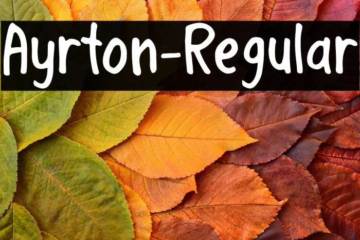 Ayrton-Regular Example 1