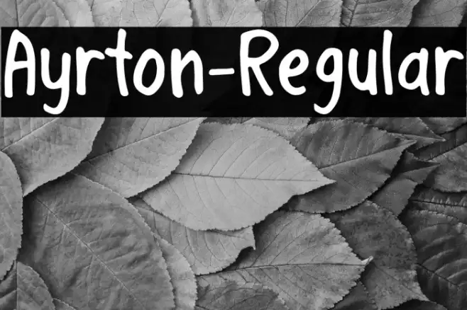 Ayrton-Regular Example 1