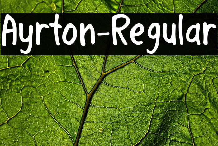 Ayrton-Regular Example 2