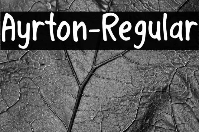 Ayrton-Regular Example 2