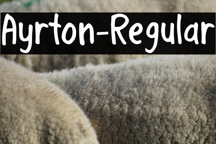 Ayrton-Regular Example 3