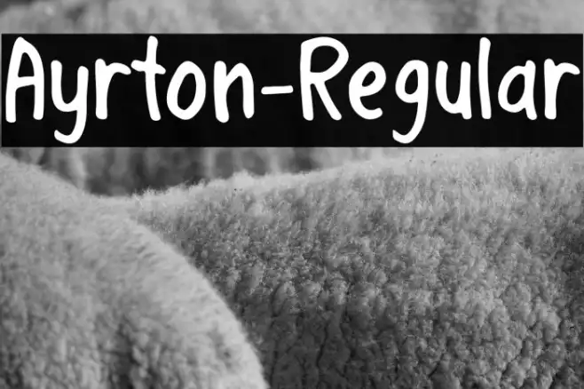 Ayrton-Regular Example 3