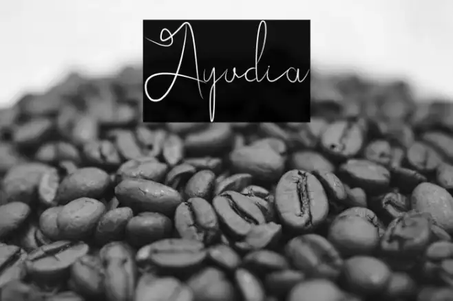 Ayudia Example 1