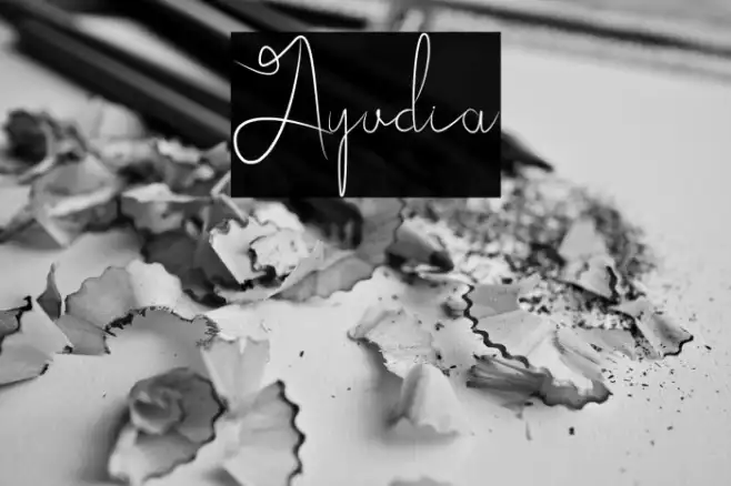 Ayudia Example 2