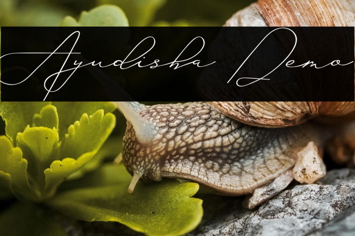 Ayudisha Demo Example 2