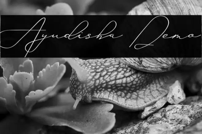 Ayudisha Demo Font examples