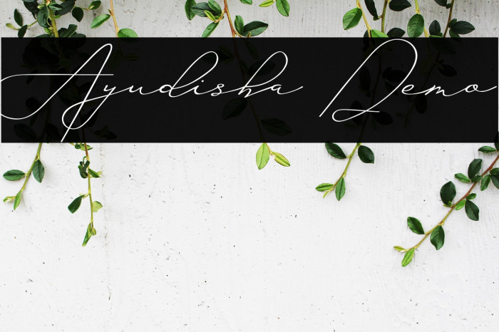 Ayudisha Demo Example 3