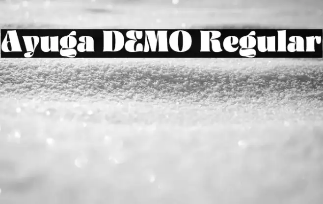 Ayuga DEMO Regular Example 1