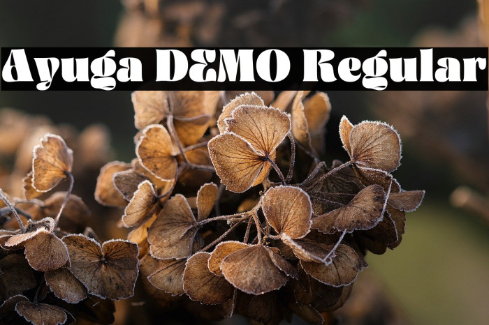 Ayuga DEMO Regular Example 2