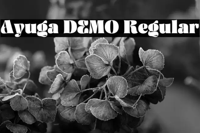 Ayuga DEMO Regular Example 2